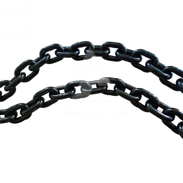 環(huán)鏈電動葫蘆鏈條